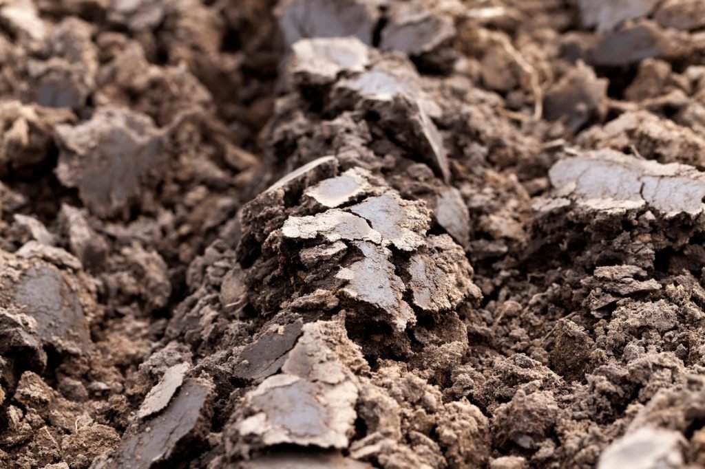 Capacità di campo, punto di appassimento e acqua disponibile nel terreno